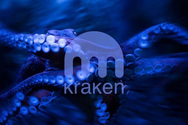 Kraken shop net